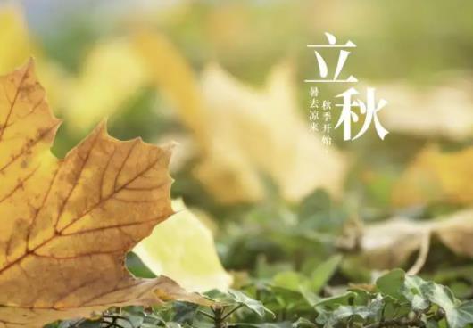 2022年立秋在晚上好嗎?2022立秋后晚上還熱嗎 2022年立秋在晚上好嗎?2022立秋后晚上還熱嗎