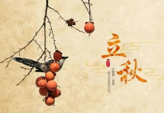 2022廣東立秋后晚上會涼快嗎?2022廣東立秋后多久才涼快 2022廣東立秋后晚上會涼快嗎?2022廣東立秋后多久才涼快