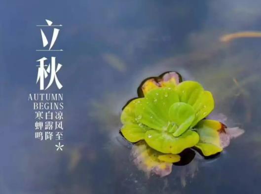 立秋之后天氣怎么樣?2022廣東立秋后還會很熱嗎 立秋之后天氣怎么樣?2022廣東立秋后還會很熱嗎