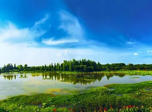 武漢府河濕地公園車可以開進去嗎?武漢府河濕地公園有廁所嗎 武漢府河濕地公園車可以開進去嗎?武漢府河濕地公園有廁所嗎