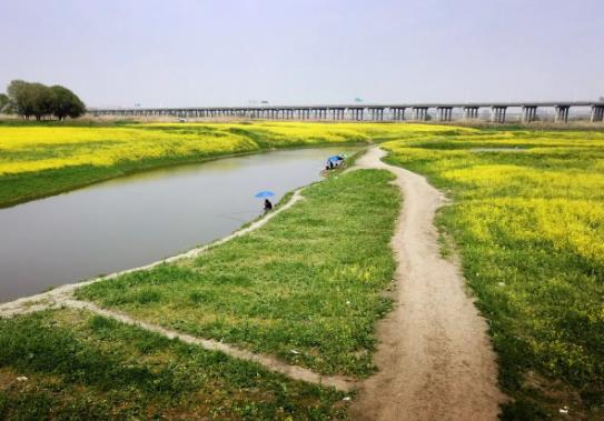 武漢府河濕地公園怎么去?武漢府河濕地公園好玩嗎 武漢府河濕地公園怎么去?武漢府河濕地公園好玩嗎