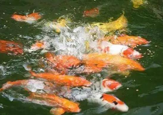 1655256052367286.jpg 360截圖20220615091544720.jpg