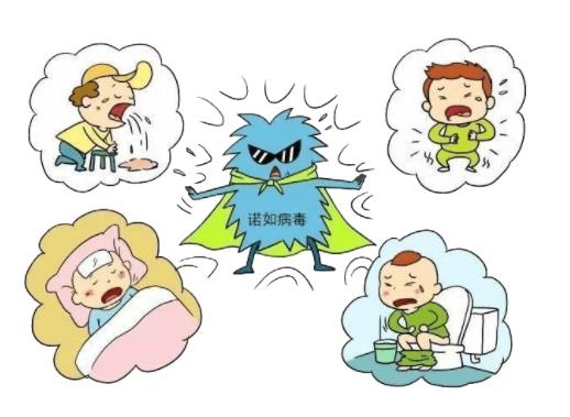 諾如病毒是新冠病毒的一種嗎?諾如病毒和新冠病毒有什么區別 諾如病毒是新冠病毒的一種嗎?諾如病毒和新冠病毒有什么區別