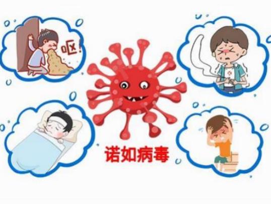 諾如病毒是新冠病毒的一種嗎?諾如病毒和新冠病毒有什么區別 諾如病毒是新冠病毒的一種嗎?諾如病毒和新冠病毒有什么區別
