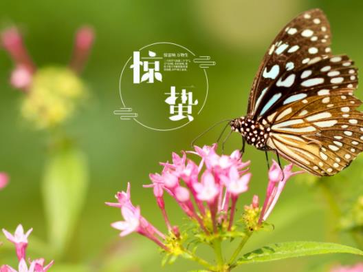 2023驚蟄在家的哪個位置打小人?2023驚蟄打小人是真的嗎 2023驚蟄在家的哪個位置打小人?2023驚蟄打小人是真的嗎