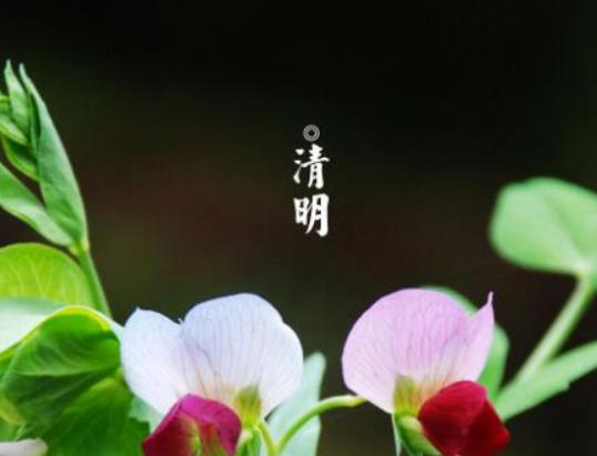 2023清明節填土要每年都填嗎?2023清明節填土誰都可以嗎 2023清明節填土要每年都填嗎?2023清明節填土誰都可以嗎