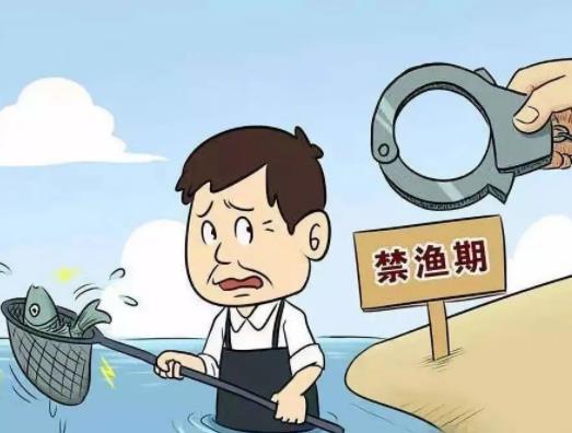 2023禁漁期有皮皮蝦賣嗎?2023禁漁期水庫可以釣魚嗎 2023禁漁期有皮皮蝦賣嗎?2023禁漁期水庫可以釣魚嗎