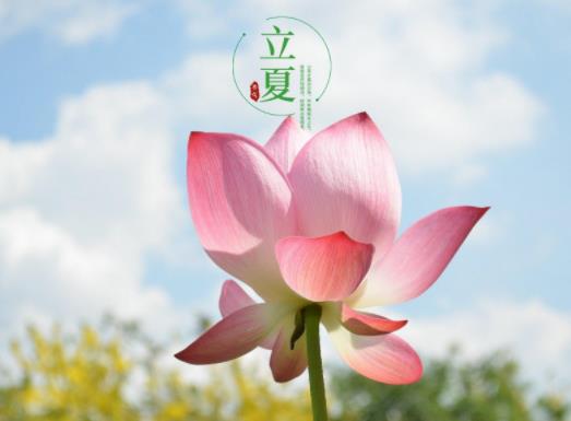 2023立夏之后會不會經(jīng)常下雨?立夏一天比一天長是嗎 2023立夏之后會不會經(jīng)常下雨?立夏一天比一天長是嗎
