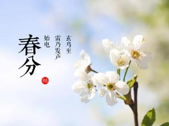 春分為什么雞蛋能立起來?春分豎蛋還是秋分豎蛋 春分為什么雞蛋能立起來?春分豎蛋還是秋分豎蛋