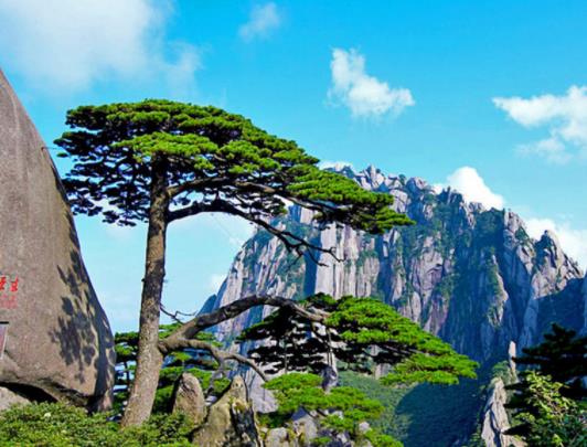 黃山云海是在一天的什么時(shí)間段?黃山4月份值得去嗎 黃山云海是在一天的什么時(shí)間段?黃山4月份值得去嗎