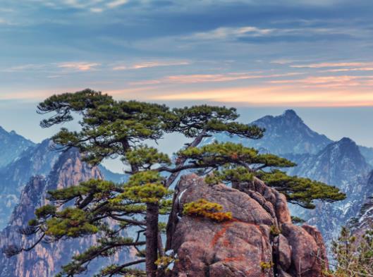 黃山云海是在一天的什么時(shí)間段?黃山4月份值得去嗎 黃山云海是在一天的什么時(shí)間段?黃山4月份值得去嗎