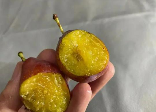 吃西梅的好處是什么?西梅是高糖還是低糖水果 吃西梅的好處是什么?西梅是高糖還是低糖水果