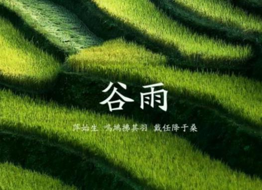 谷雨之后還要冷多久?24節(jié)氣過了哪個節(jié)氣就不會下霜了 谷雨之后還要冷多久?24節(jié)氣過了哪個節(jié)氣就不會下霜了