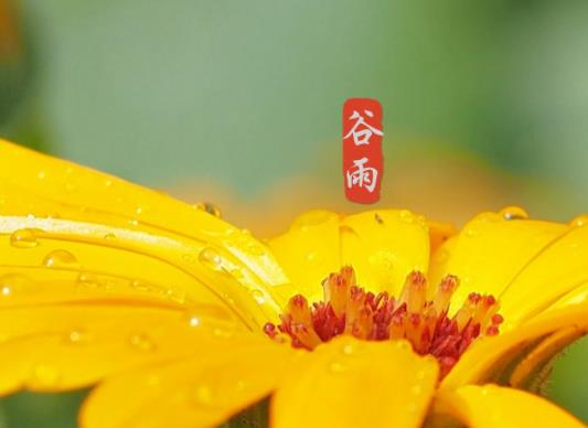 谷雨之后還要冷多久?24節(jié)氣過了哪個節(jié)氣就不會下霜了 谷雨之后還要冷多久?24節(jié)氣過了哪個節(jié)氣就不會下霜了