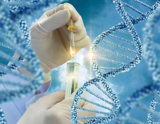 胎停花了2500元做了基因檢測怎么辦?醫生推薦基因檢測套路 胎停花了2500元做了基因檢測怎么辦?醫生推薦基因檢測套路