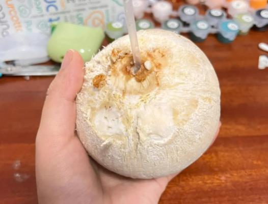打開的椰子水怎么保存不會壞?喝了變質的椰子水會影響身體嗎 打開的椰子水怎么保存不會壞?喝了變質的椰子水會影響身體嗎