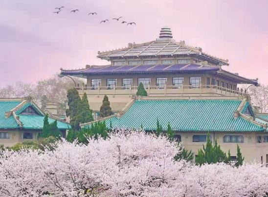 武漢大學(xué)五一進入怎么預(yù)約?武漢櫻花什么時候就凋謝了 武漢大學(xué)五一進入怎么預(yù)約?武漢櫻花什么時候就凋謝了