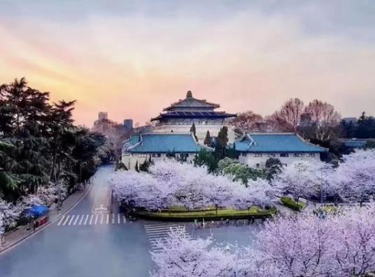 武漢大學旅游哪個門進出?武漢櫻花什么時候去看合適 武漢大學旅游哪個門進出?武漢櫻花什么時候去看合適