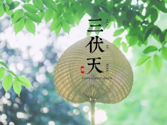 三伏天是最熱的時(shí)候嗎?三伏天哪個(gè)伏天更熱些 三伏天是最熱的時(shí)候嗎?三伏天哪個(gè)伏天更熱些