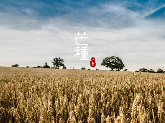 芒種種棉花晚嗎?2023年芒種什么時(shí)候適合出行 芒種種棉花晚嗎?2023年芒種什么時(shí)候適合出行