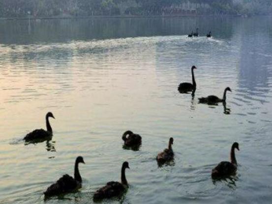廈門適合情侶玩的地方,白鷺洲公園愜意浪漫、鐵路文化公園繁花似錦 廈門適合情侶玩的地方,白鷺洲公園愜意浪漫、鐵路文化公園繁花似錦