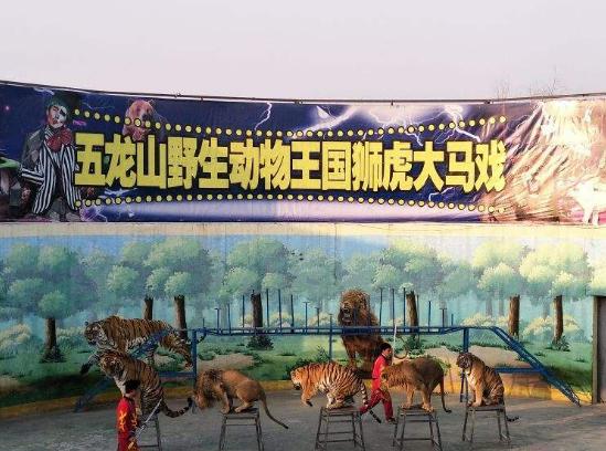 新鄉情侶十大必去之地,中原福塔交通便利、世紀歡樂園挑戰自我 新鄉情侶十大必去之地,中原福塔交通便利、世紀歡樂園挑戰自我