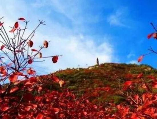 太原最好玩的地方推薦,晉祠博物館特色多、天龍山石窟是地標(biāo)性打卡點(diǎn) 太原最好玩的地方推薦,晉祠博物館特色多、天龍山石窟是地標(biāo)性打卡點(diǎn)