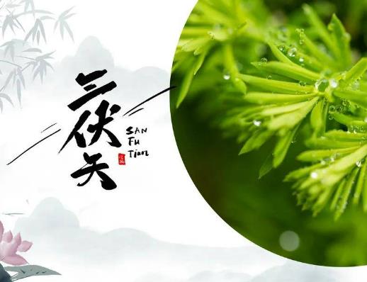 為什么大家都喜歡三伏天曬背?三伏天曬太陽出汗多少有沒有啥講究 為什么大家都喜歡三伏天曬背?三伏天曬太陽出汗多少有沒有啥講究