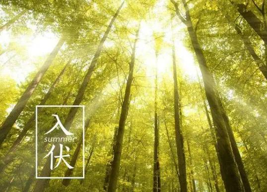 三伏天曬背后有哪些真實反應(yīng)?三伏天曬背多久排出濕氣 三伏天曬背后有哪些真實反應(yīng)?三伏天曬背多久排出濕氣