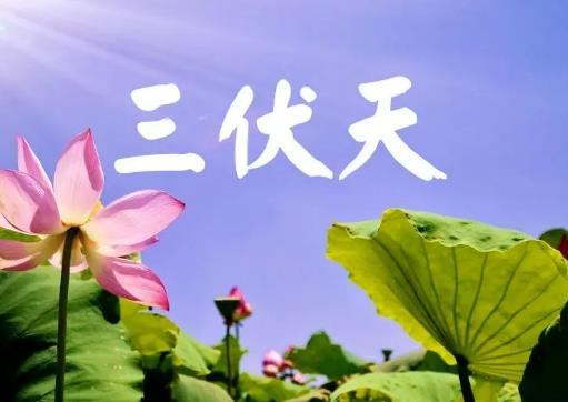 三伏天曬背后可以喝水嗎?三伏天曬背后多久可以吹風(fēng)扇 三伏天曬背后可以喝水嗎?三伏天曬背后多久可以吹風(fēng)扇