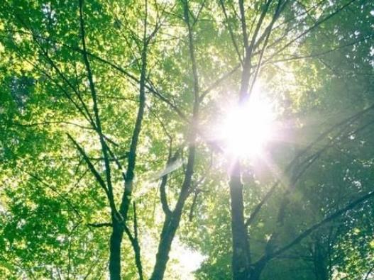 三伏天曬背可以穿防曬服嗎?三伏天曬背后多久可以吹空調 三伏天曬背可以穿防曬服嗎?三伏天曬背后多久可以吹空調