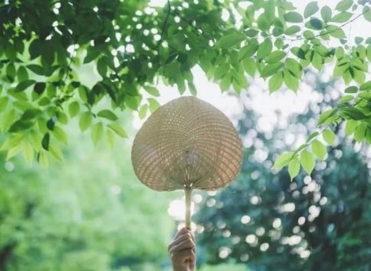 三伏天曬背下午5點(diǎn)以后曬可以嗎?三伏天曬背是早晨幾點(diǎn)曬最好 三伏天曬背下午5點(diǎn)以后曬可以嗎?三伏天曬背是早晨幾點(diǎn)曬最好