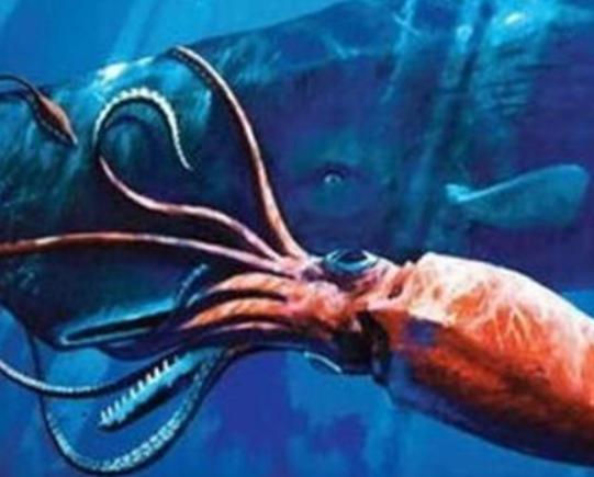 世界十大未知生物排名,卡布羅龍無(wú)從考證、大王烏賊重量達(dá)兩千克左右 世界十大未知生物排名,卡布羅龍無(wú)從考證、大王烏賊重量達(dá)兩千克左右