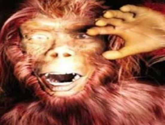 世界十大未知生物排名,卡布羅龍無(wú)從考證、大王烏賊重量達(dá)兩千克左右 世界十大未知生物排名,卡布羅龍無(wú)從考證、大王烏賊重量達(dá)兩千克左右
