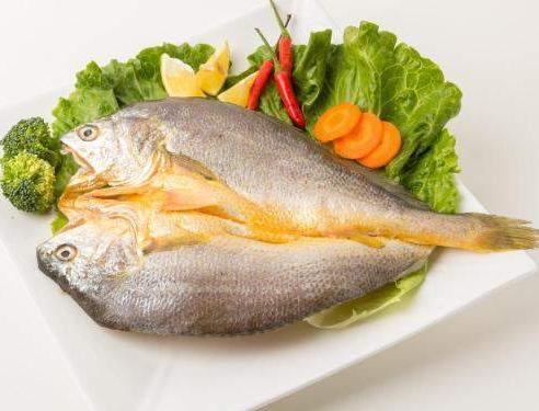 去寧波必帶特產排行榜,寧波湯圓軟糯香甜、寧波豆酥糖入口即化 去寧波必帶特產排行榜,寧波湯圓軟糯香甜、寧波豆酥糖入口即化