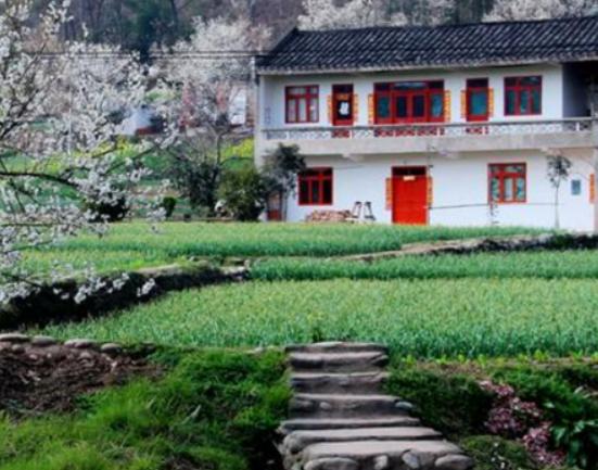 廣東十大鄉(xiāng)村排行榜,蓮麻村非常有名、新山村面積大 廣東十大鄉(xiāng)村排行榜,蓮麻村非常有名、新山村面積大