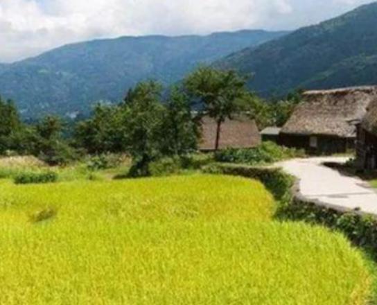 廣東十大鄉(xiāng)村排行榜,蓮麻村非常有名、新山村面積大 廣東十大鄉(xiāng)村排行榜,蓮麻村非常有名、新山村面積大