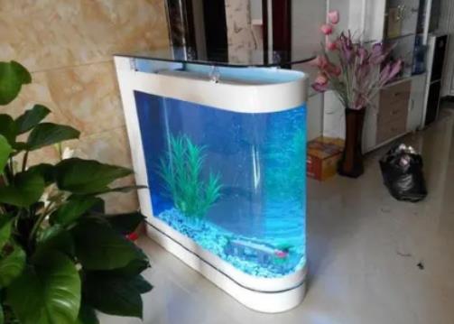 魚養(yǎng)多大有靈氣?一米的魚缸一個(gè)月用多少電 魚養(yǎng)多大有靈氣?一米的魚缸一個(gè)月用多少電