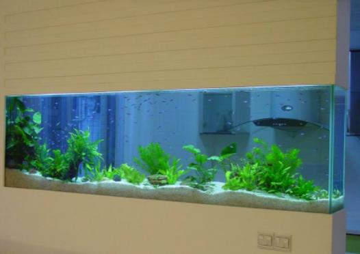 臥室里面放魚缸好嗎?新家擺魚缸運勢好嗎 臥室里面放魚缸好嗎?新家擺魚缸運勢好嗎