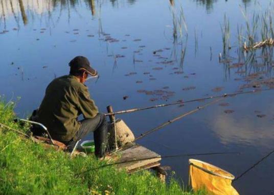 立秋后適合釣什么魚?立秋釣魚什么時候比較好 立秋后適合釣什么魚?立秋釣魚什么時候比較好