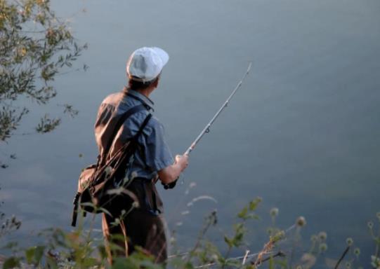 三伏天釣魚用什么打窩?三伏天釣魚釣底還是釣浮 三伏天釣魚用什么打窩?三伏天釣魚釣底還是釣浮