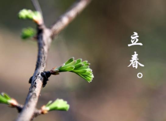 2024年立春是五九尾還是六九頭?2024年立春是什么時間幾點幾分幾秒 2024年立春是五九尾還是六九頭?2024年立春是什么時間幾點幾分幾秒