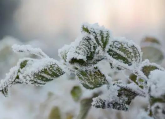 吉林霧凇冰雪節每天都放煙花嗎?吉林在哪里看霧凇比較好 吉林霧凇冰雪節每天都放煙花嗎?吉林在哪里看霧凇比較好