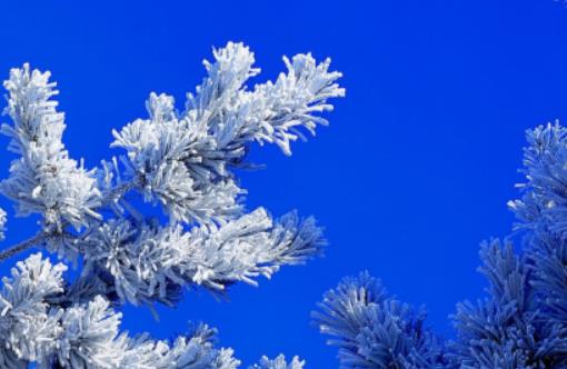 12月看霧松東北什么地方最好?吉林市霧凇冰雪節持續多長時間 12月看霧松東北什么地方最好?吉林市霧凇冰雪節持續多長時間