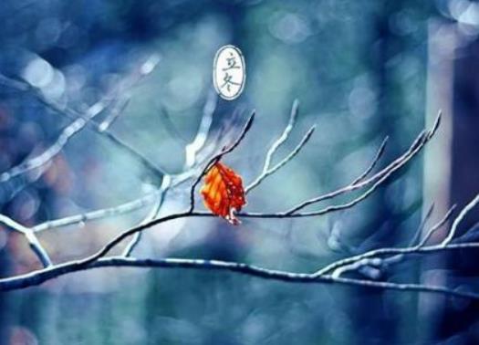 冬至過后幾天交九?冬至和交9是一天嗎 冬至過后幾天交九?冬至和交9是一天嗎