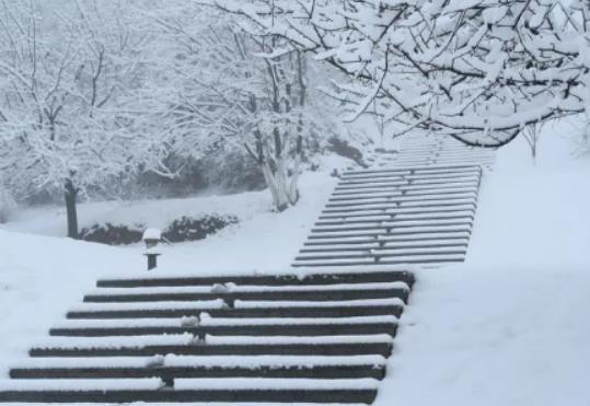深圳冬天蓋6斤蠶絲被夠嗎?深圳下雪的幾率有多大 深圳冬天蓋6斤蠶絲被夠嗎?深圳下雪的幾率有多大