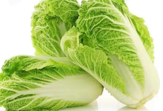 白菜啥時(shí)候種?大白菜怎么做好水肥管理 白菜啥時(shí)候種?大白菜怎么做好水肥管理