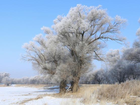 哈爾濱冰雪大世界對哪些人有優惠?哈爾濱冰雪大世界門票兒童收費是怎樣的 哈爾濱冰雪大世界對哪些人有優惠?哈爾濱冰雪大世界門票兒童收費是怎樣的