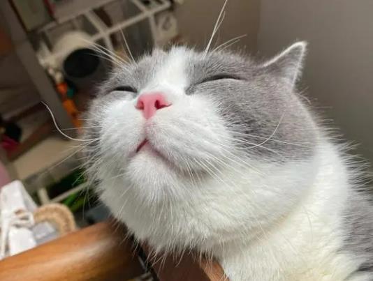 ؈̷ʲôˮ_؈̷ە(hu)