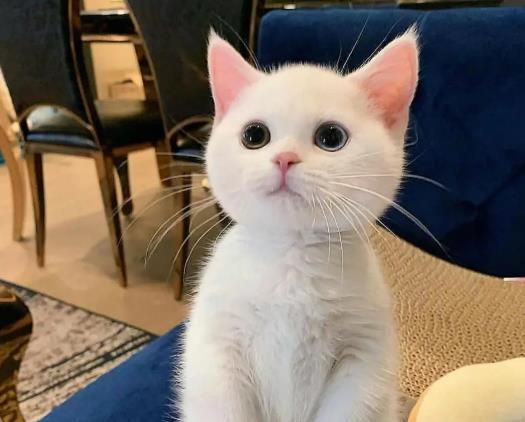؈?jin)ôЛ](mi)в؈ÿ춼ʺ